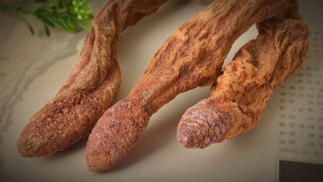 肉苁蓉锁阳酒怎么泡?肉苁蓉锁阳泡酒的详细方法与用量