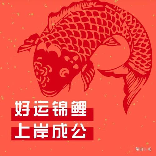 转好运锦鲤,上岸成公!看面试技巧,迅速提升