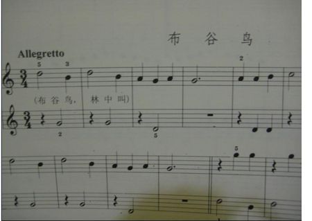 钢琴五线谱怎么记?