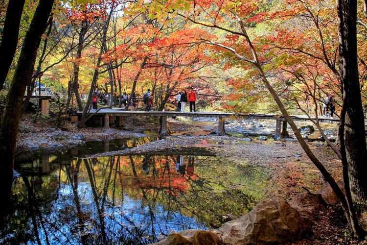 10月8日 辽宁本溪关门山国家森林公园