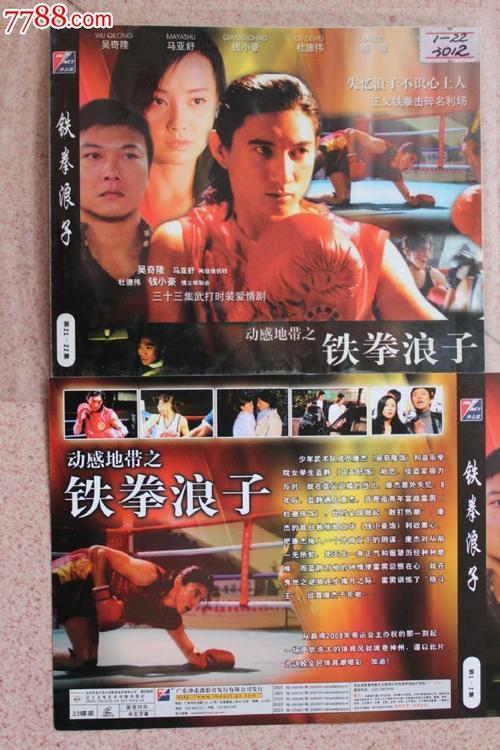 铁拳浪子33集碟装vcd电视连续剧