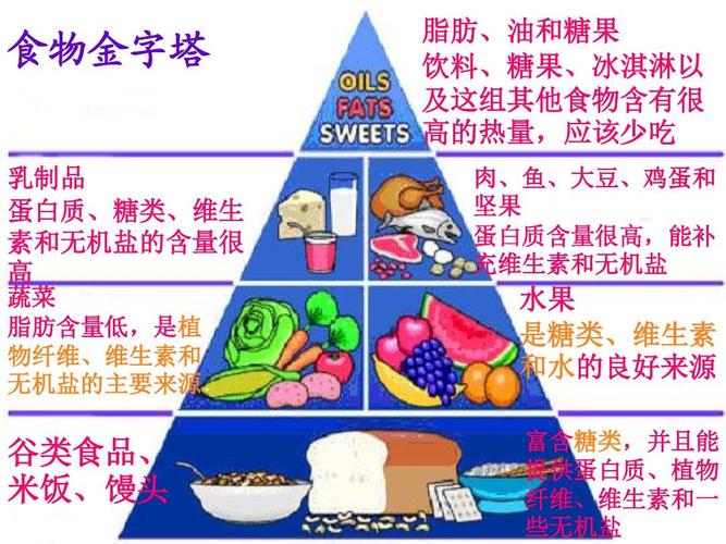 政史地 七年级生物 第三节 合理膳食与食品安全课件 食物金字塔 乳