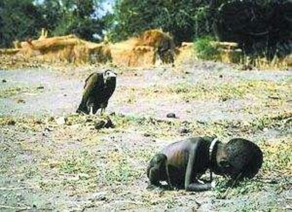 看看非洲的这两种