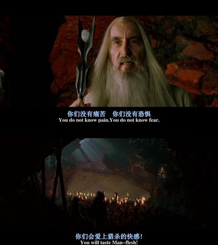 指环王1:魔戒再现