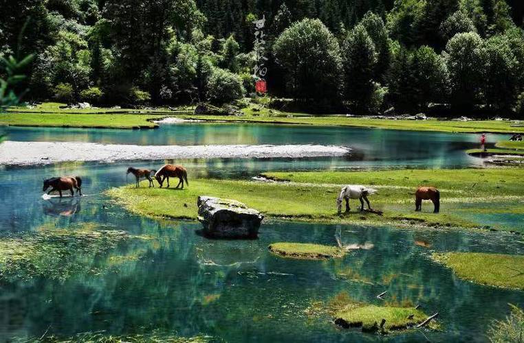 康定莲花湖有纯净的阳光,湛蓝的天空,绿毯般的高山草甸,灿若繁星的