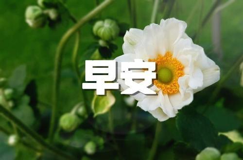 高情商女生对男生说早安方式