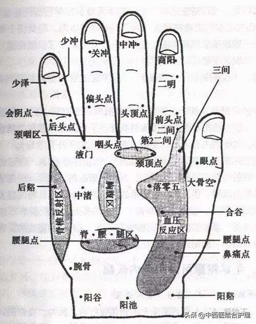 穴位养生手掌穴位按摩方法附穴位图