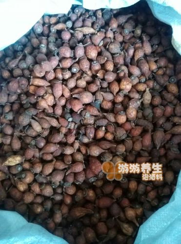 中药材 泡酒料 金樱子 野生金樱子 干 刺梨子 益肾固精 100克