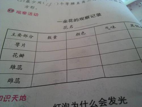 一朵玫瑰花的观察记录萼片数量颜色气味其它