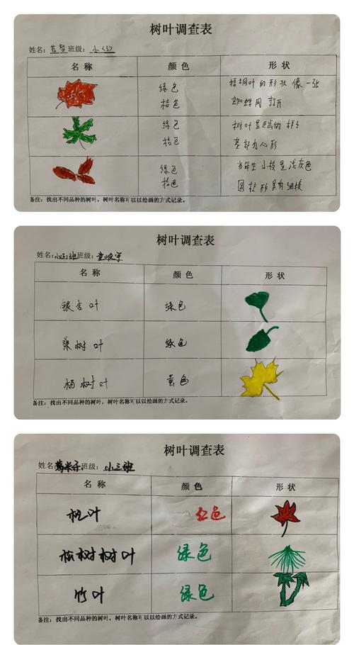 第四章 树叶调查表