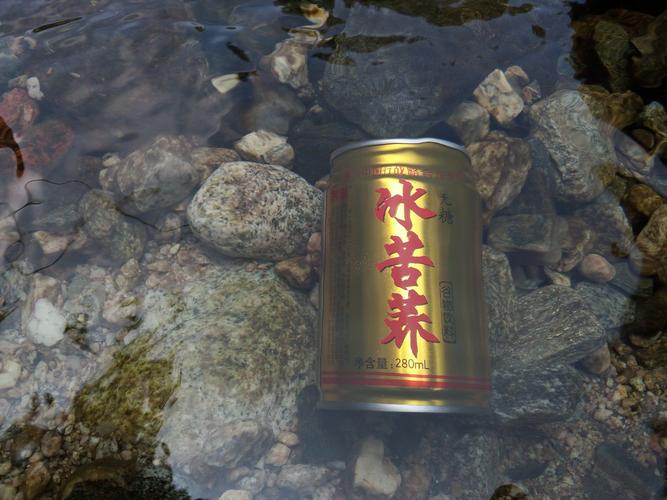 冰苦荞 谁喝过?