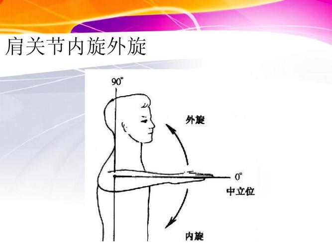肩关节内旋外旋