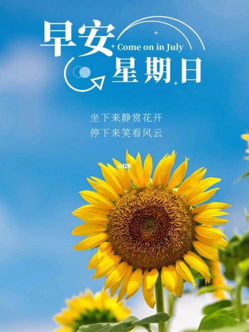 周日愉快,早安吉祥.风风雨雨,都是生活……_语录_赏花