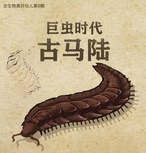 超大只体长25米的千足虫史上体型最大的无脊椎动物
