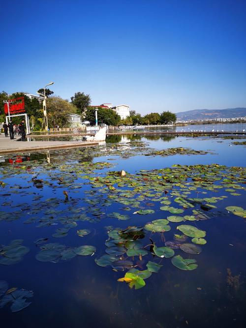 这张美片是西昌市邛海风景区,西昌市风景区很多,湿地也很多,这个是离