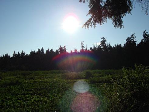 太阳的七彩光芒