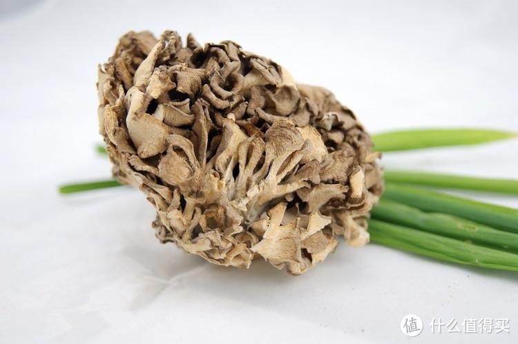 味如鸡丝脆如玉兰小众蘑菇味道好极了
