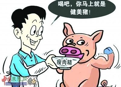 瘦肉精事件再发