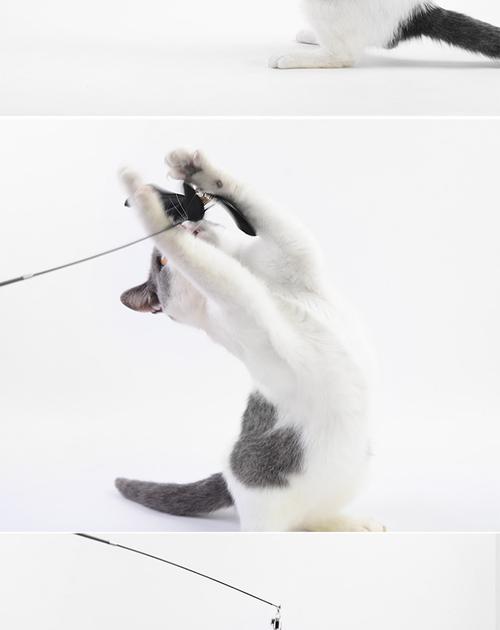 逗猫棒可刻字实木手柄可延长碳纤维杆猫玩具宠物用品赠羽毛替换头_7折