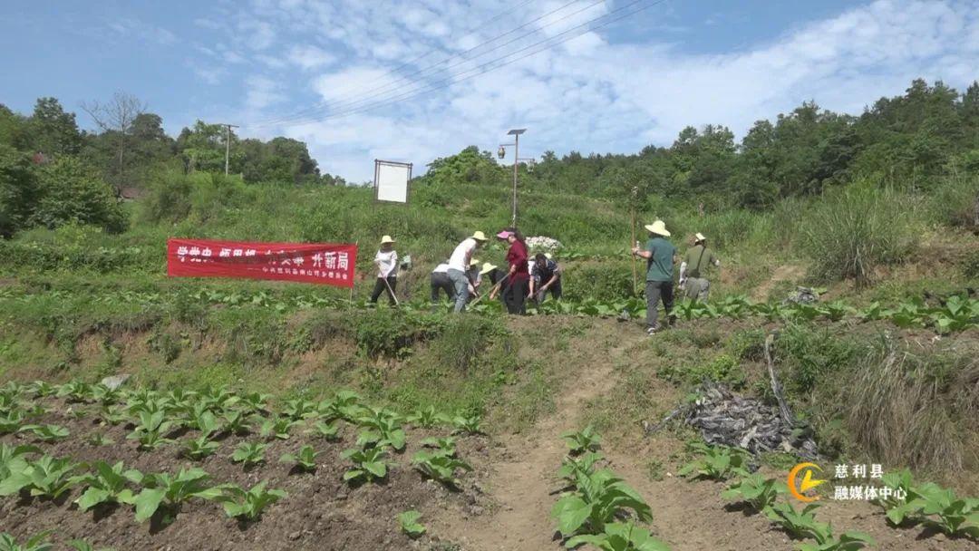 慈利映像南山坪乡农业旅游共发展夯实乡村振兴奠基石