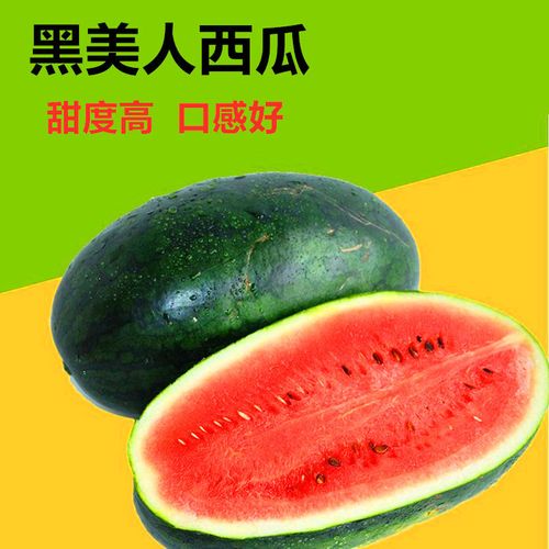 黑美人西瓜种子大果黑美人西瓜种籽高产早熟黑皮礼品