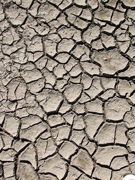 干枯的河床简笔画