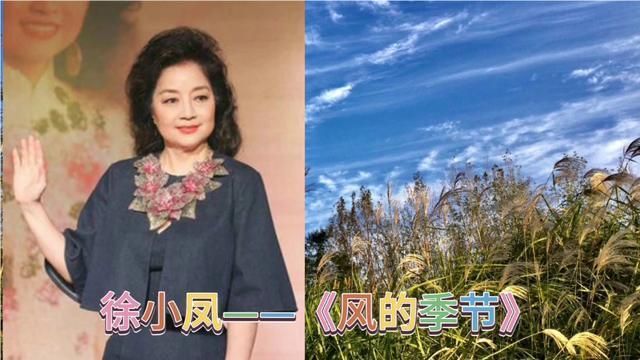 徐小凤粤语经典风的季节多年过去依然耐听百听不厌风真爽