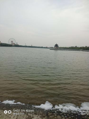 大荔同洲湖掠影