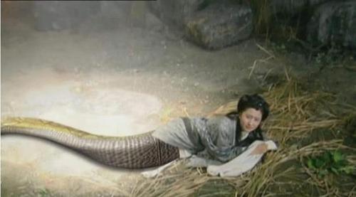 同样是女娲后人青儿和灵儿都是人身蛇尾她为何整体都是蛇身