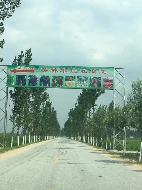 河南省南阳市卧龙区陆营镇冢头