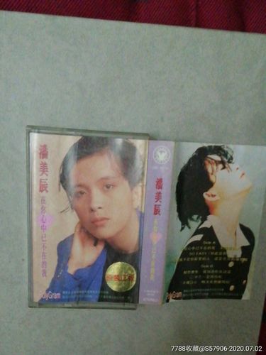 潘美辰