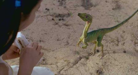 体型最小的恐龙是什么龙