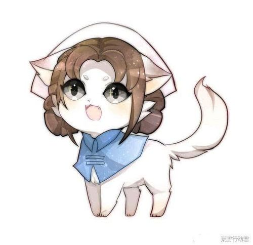 第五人格园丁花童图片