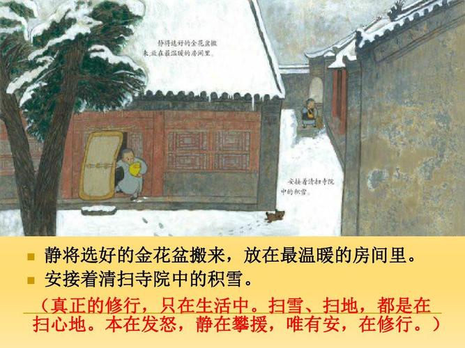 安的种子ppt