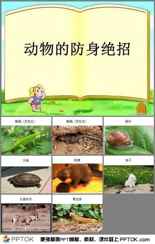 幼儿园动物《防身绝招》ppt课件