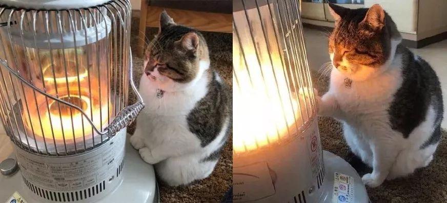 烤火是一种信仰