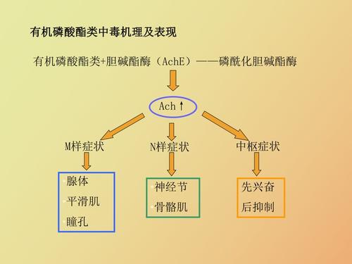 有机磷农药中毒及解救