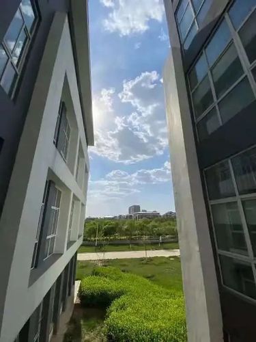北京中医药大学东方学院之约||夏季转角吹来的风