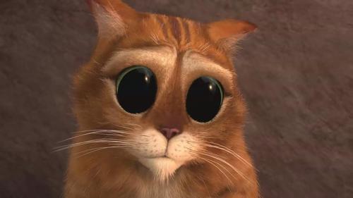 穿靴子的萌猫三剑客