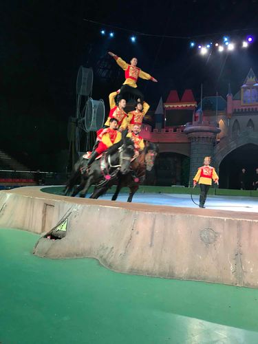 常州淹城野生动物园   成人票(送马戏表演 观光小火车)