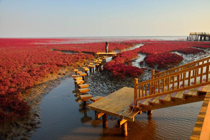 精彩贴图辽宁盘锦红海滩国家风景廊道图片