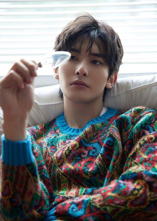 王瑞昌生日大片释出氛围感拉满穿印花毛衣眉眼深邃