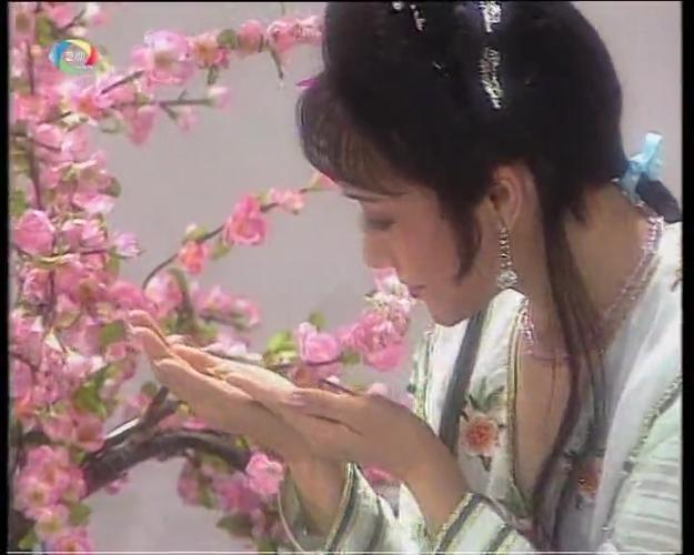 【越剧】《红楼梦——葬花》王志萍