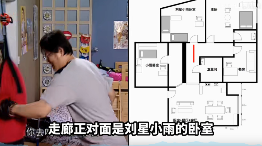 有人算出了家有儿女刘星的家有多大算出才知道她家多有钱