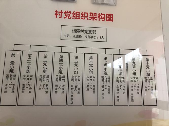 村党组织架构图