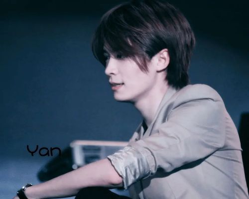 马雪阳|马老师今日份花墙