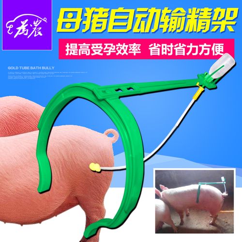 猪用输精夹 输精支架 ai围裙 受精夹猪夹子猪用辅助圈猪用母猪夹