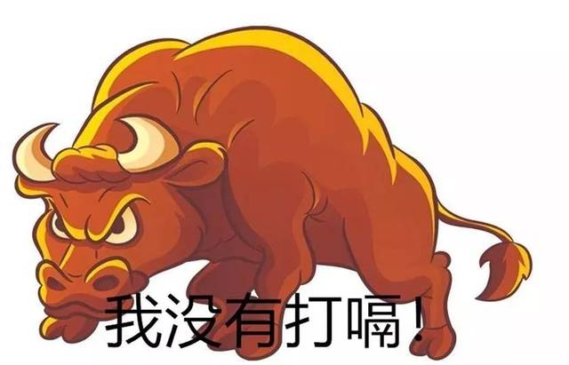 万万没想到,在国外,动物竟然也要交税!