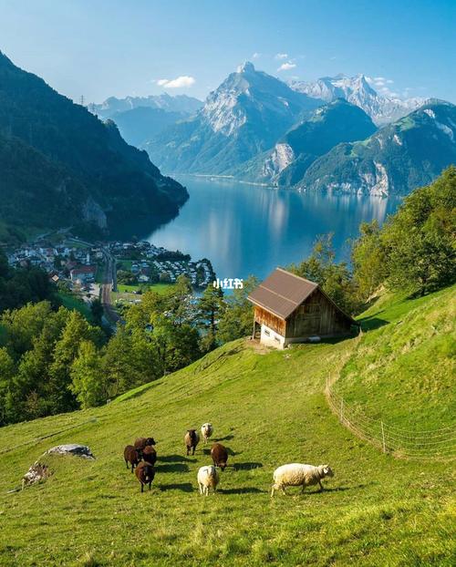 阿尔卑斯坦山是瑞士最令人印象深刻的风景优美,高海拔山脉,徒步小道将