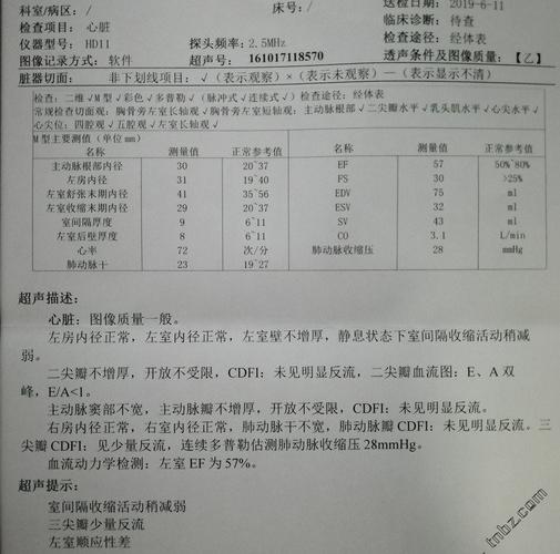 心脏与颈动脉超声报告